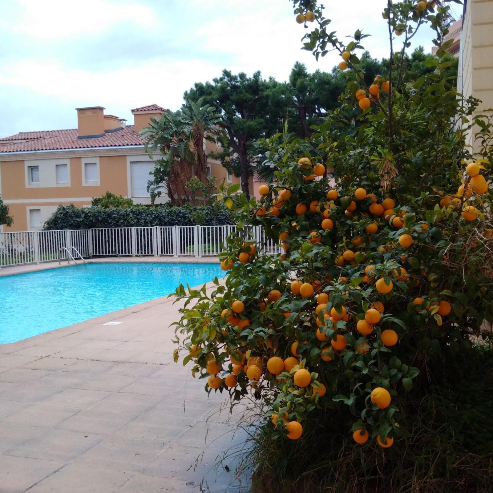 Direct Monaco Studio Devant Piscine Босолей Экстерьер фото